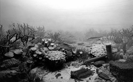 Подводная съемка Хироши Суджимото, Китай