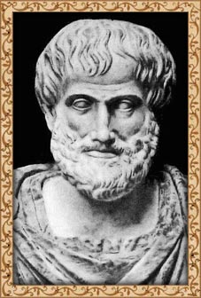 ����������. ����������