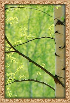 ������� ������� � ���