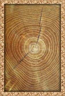 ��������� ��������� ������