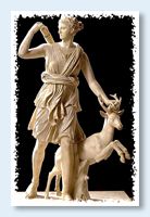 ����� - ��������