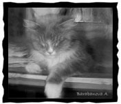 ������� �����