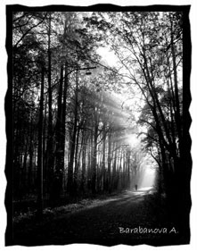 ������� � ������������ ����