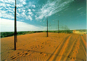 ����� ������� ������