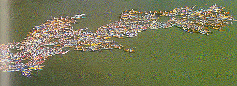 "����" �� �����