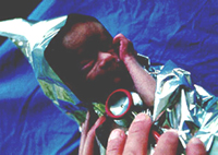 ������ �����