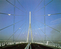 ����� ������� ������-��������� ���� � ����. �������