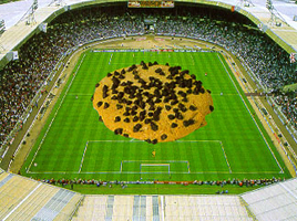 ����� ������� �������, ���������� 2,5 � ��������