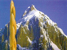 ����� ������� ������� ��������