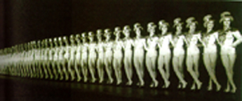 ������ "����������"