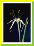 ������� �� ��������, �������� ������� 640�480