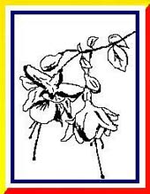 ������ �����-������ �����������