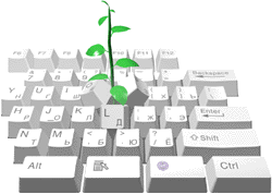 ����������