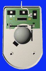 ���������� ������-������������ ����